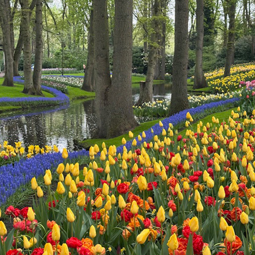 Gpod dewitt 1 keukenhof 2 thumb 1x1.jpg
