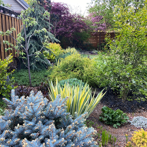 Gpod gualtieri 5 colorful foliage thumb 1x1.jpg