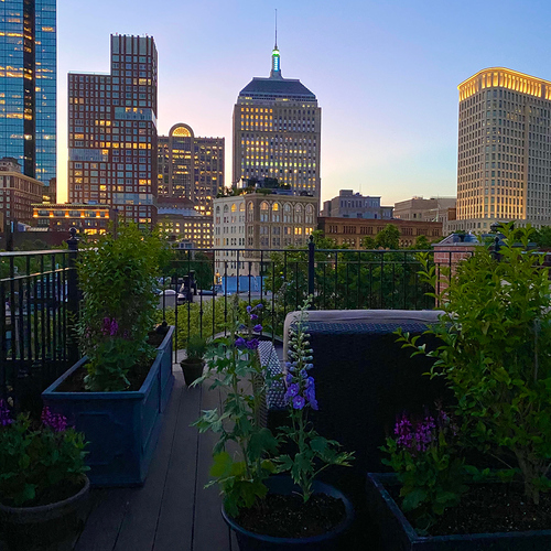 Gpod king rooftop garden at night thumb 1x1.jpg