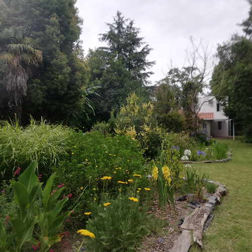 Gpod martin barakat cottage garden thumb 1x1.jpg