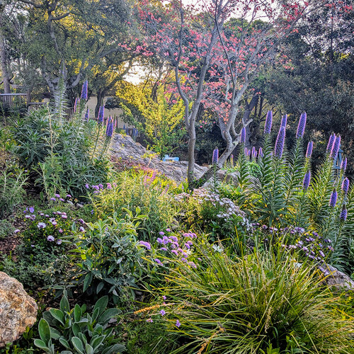 Gpod porter felt california spring garden thumb 1x1.jpg