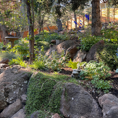 Gpod safford rock garden thumb 1x1.jpg