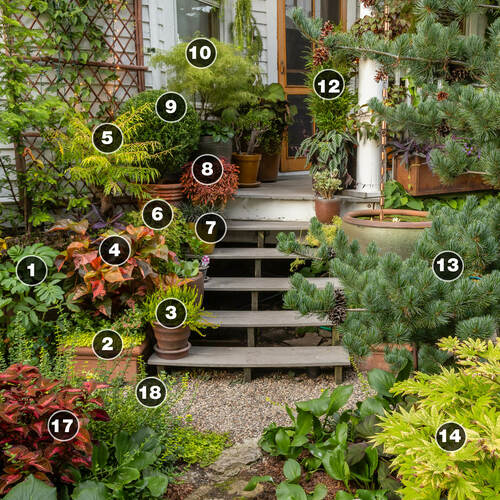 Gagliardi plant ids thumb 1x1.jpg