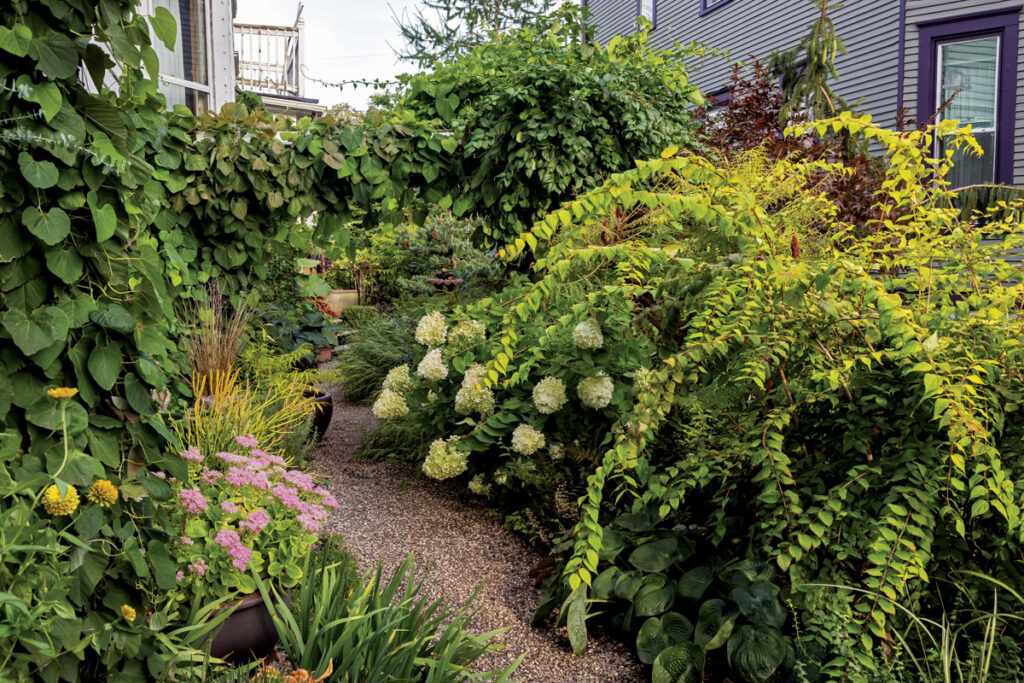 Fg224ga gagliardi side yard path 24 2o0a1685 tracy walsh photo 1.jpg