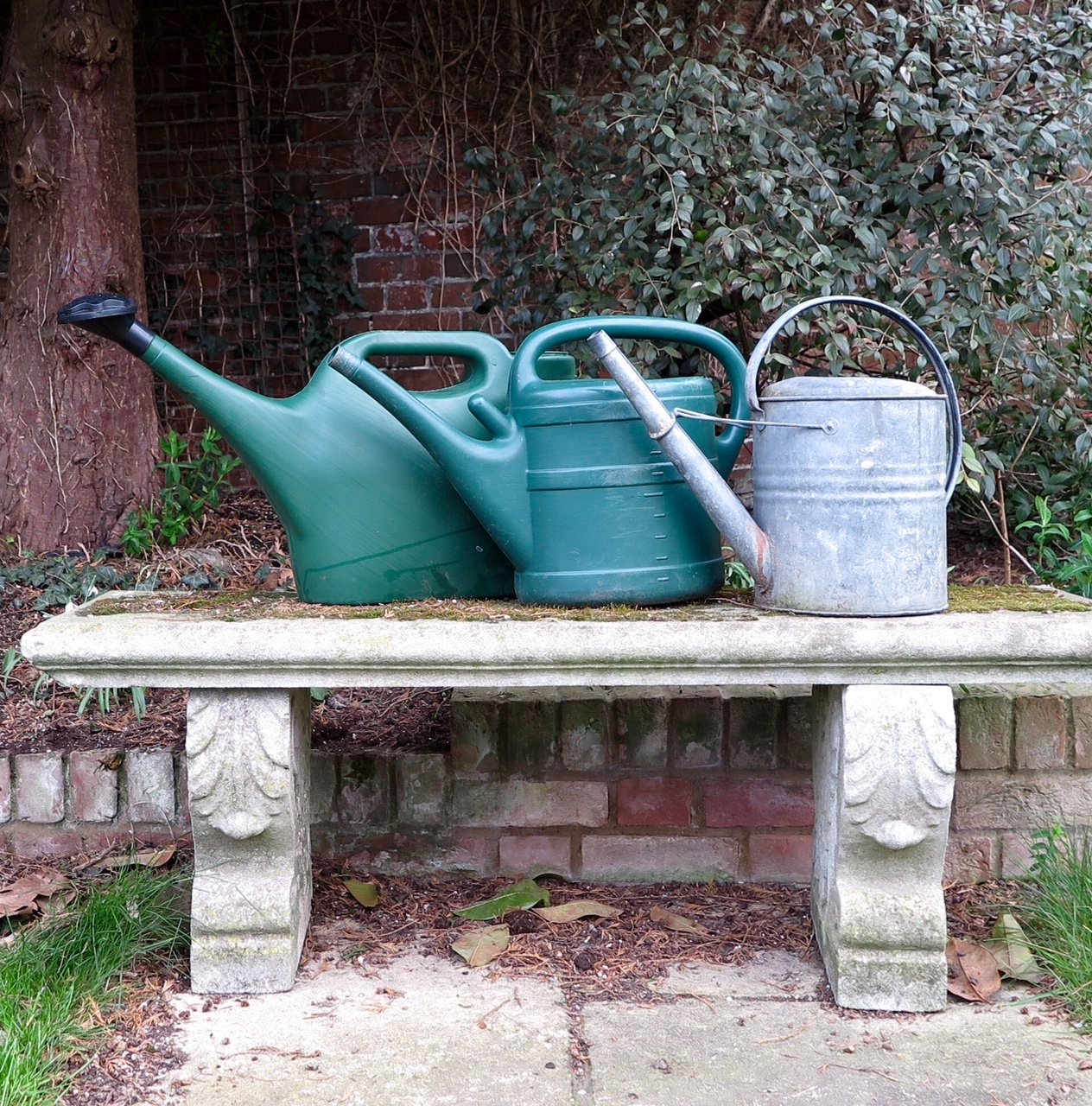 Watering cans.jpg