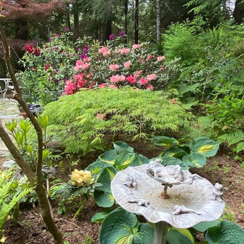 Gpod boblett 9 bird bath thumb 1x1.jpg