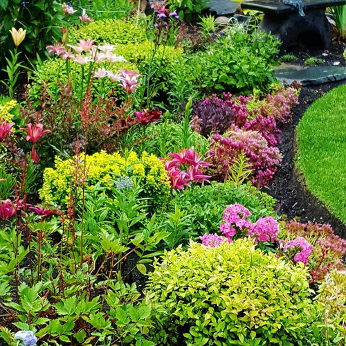 Gpod chellappah 3 pink flowers thumb 1x1.jpg