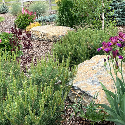 Gpod eadie 3 new front bed thumb 1x1.jpg