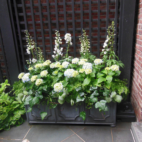 Gpod mellen 2 white and green container thumb 1x1.jpg