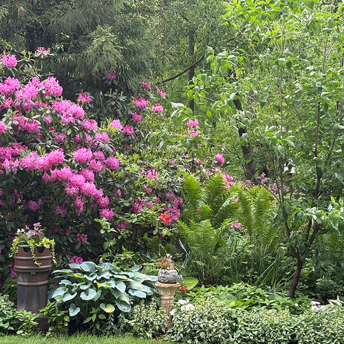 Gpod spencer woodland garden border thumb 1x1.jpg