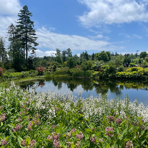 GPOD Hayes 7 Coastal Maine Botanical Garden thumb
